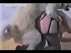 Huge furry dog likes banging his cute owner